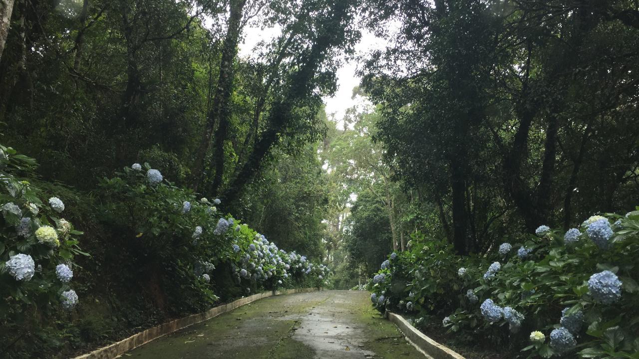 Apartamento Em Condominio Campos Do Jordao Dış mekan fotoğraf